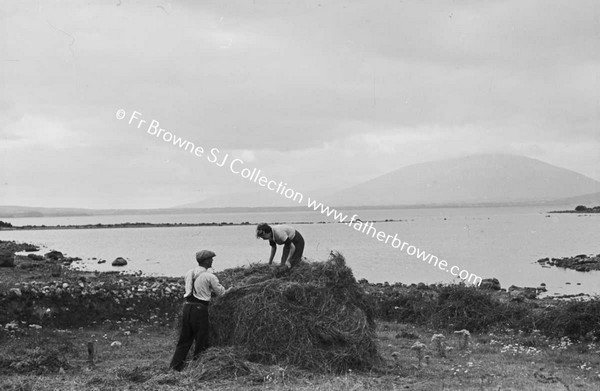 HAY MAKING NEAR LOUGH CONN